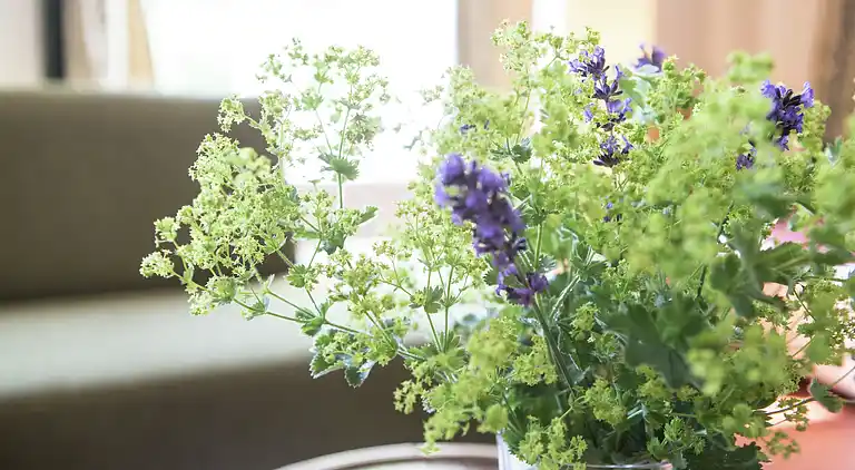 Bondgård i Drimmelen