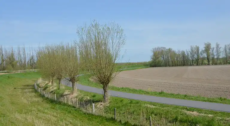 Feriebolig i Hooge Zwaluwe