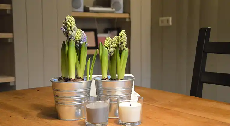 Semesterbostad i Oisterwijk