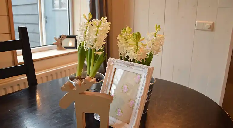 Semesterbostad i Oisterwijk