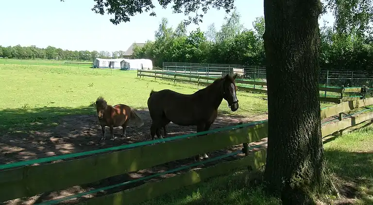 Semesterbostad i Oisterwijk