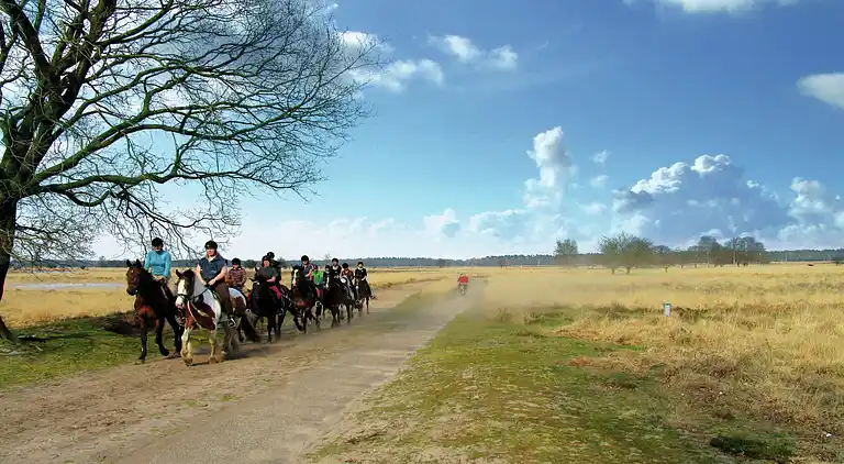 Landhaus in Oisterwijk