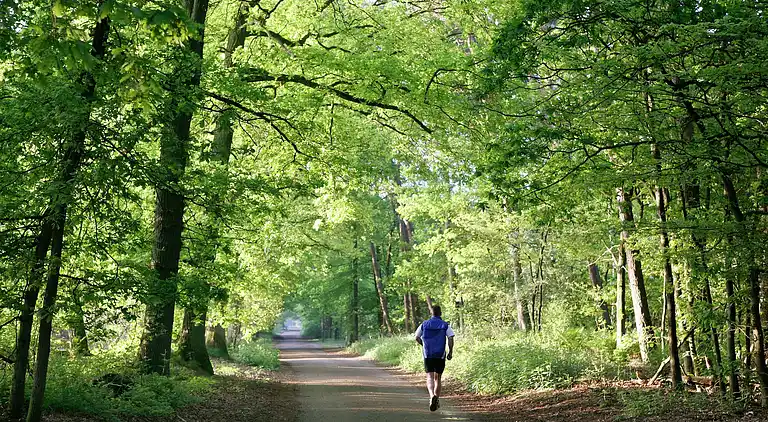 Bondgård i Moergestel