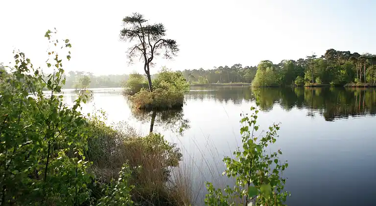 Bondgård i Moergestel
