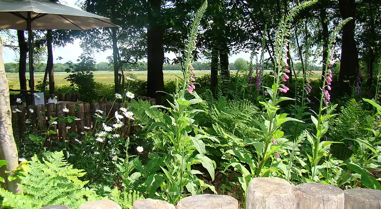 Semesterbostad i Haaren