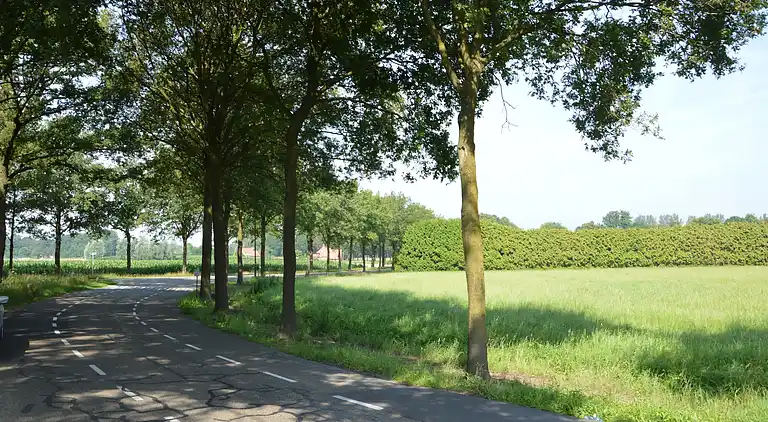 Holiday home in Haaren