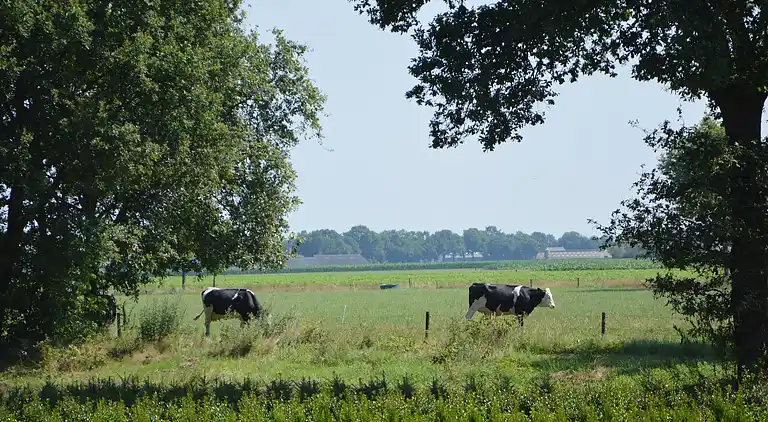 Farm house in Diessen