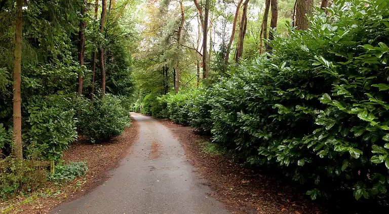 Sommerhus i Baarle-Nassau
