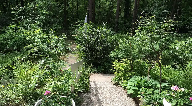 Sommerhus i Baarle-Nassau