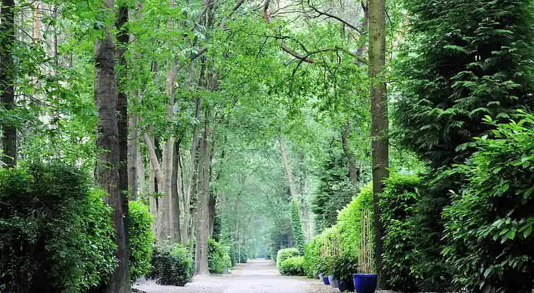 Cottage in Baarle-Nassau