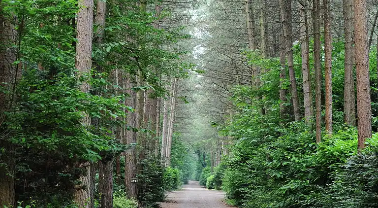 Holiday home in Baarle-Nassau