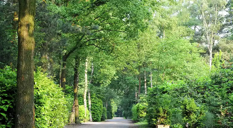 Holiday home in Baarle-Nassau