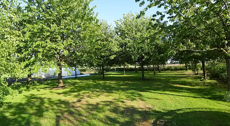 Holiday home in Alphen