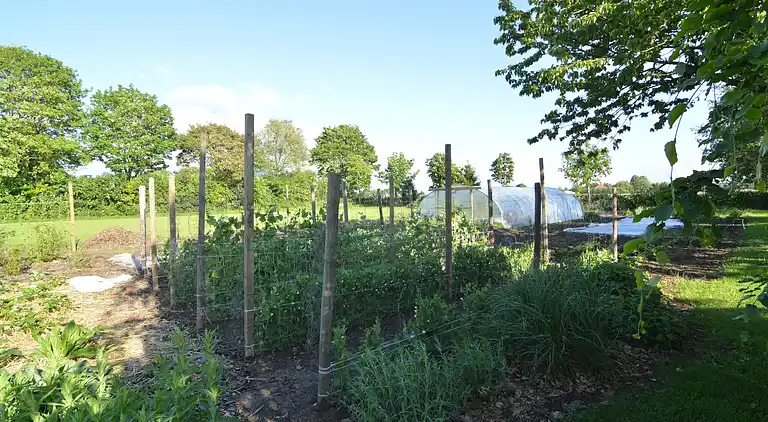 Holiday home in Alphen