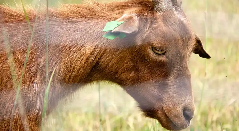 Sommerhus i Hoge Hexel