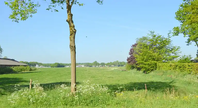 Farm house in Loon op Zand