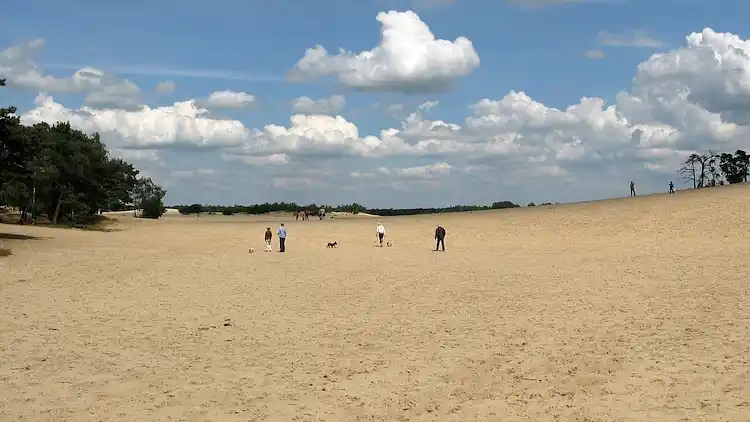 Farm house in Loon op Zand