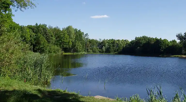 Ferienhaus in Ravenstein