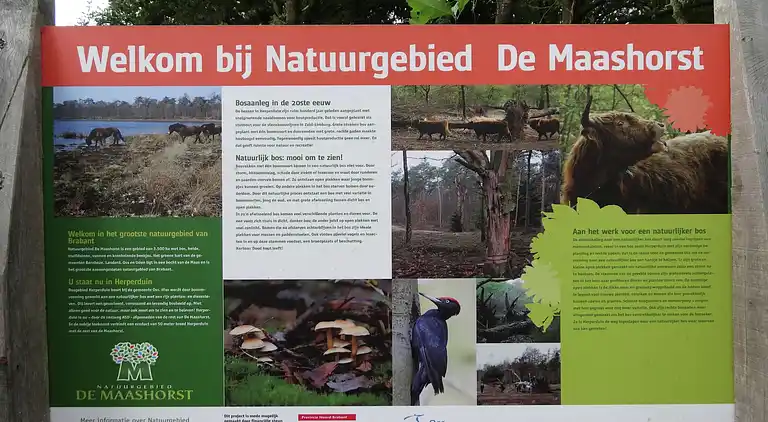 Ferienhaus in Ravenstein