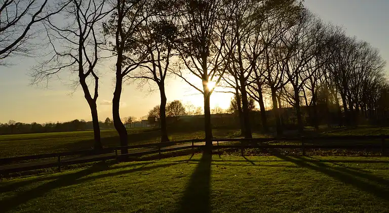 Farm house in Elsendorp