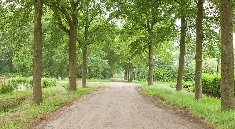 Ferienhaus in Boekel