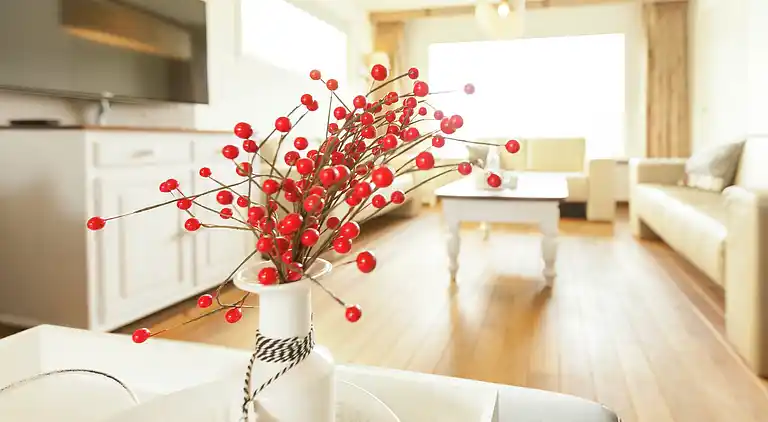 Ferienhaus in Boekel