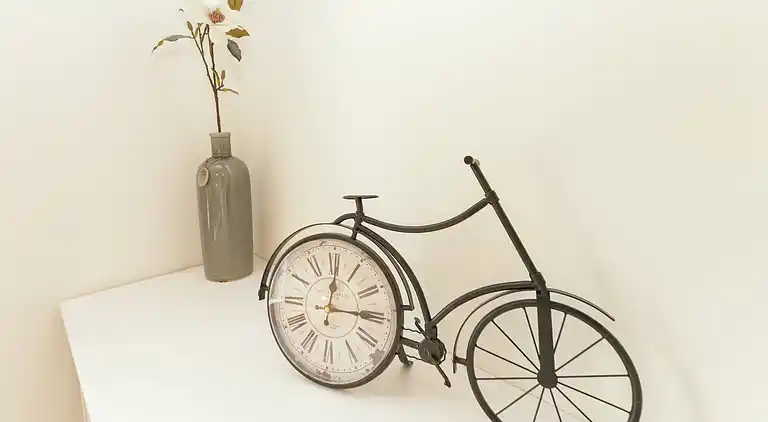 Ferienhaus in Boekel