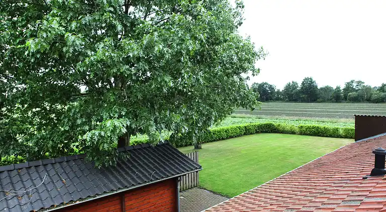 Holiday home in Venhorst