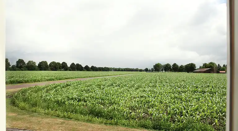 Holiday home in Venhorst