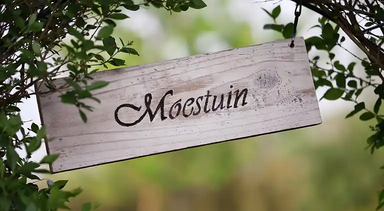 Casa vacanze in Oeffelt