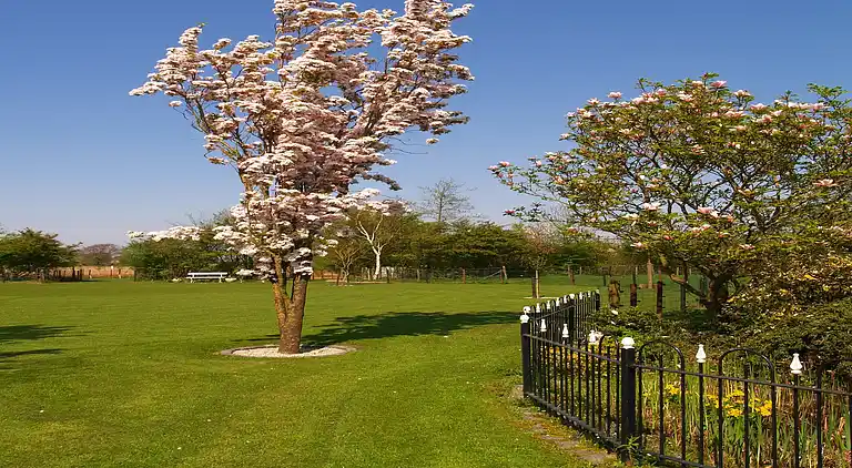 Casa vacanze in Oeffelt