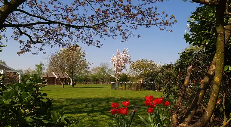 Casa vacanze in Oeffelt