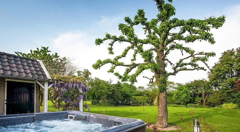 Casa vacanze in Oeffelt