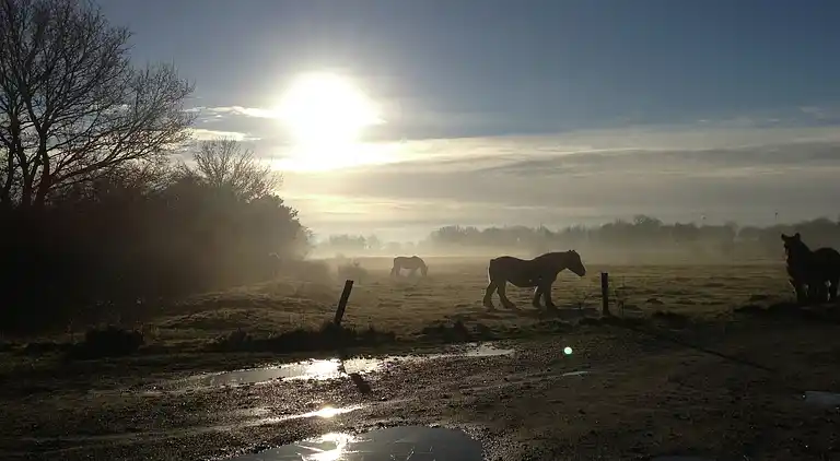 Vakantiehuis in Oeffelt