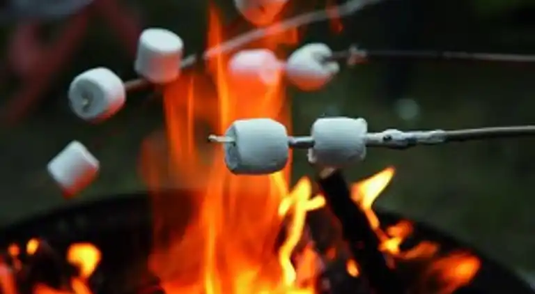 Vakantiehuis in Oeffelt