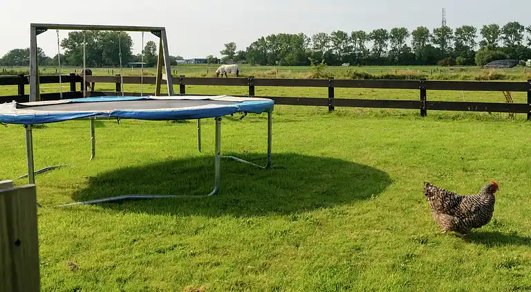 Holiday home in Hippolytushoef