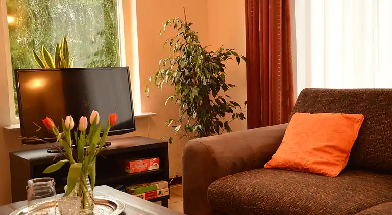 Holiday home in Valkenswaard