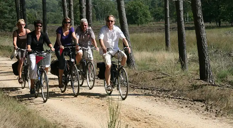 Ferienhaus in Bergeijk