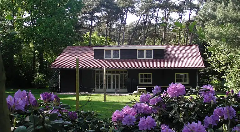 Sommerhus i Luyksgestel