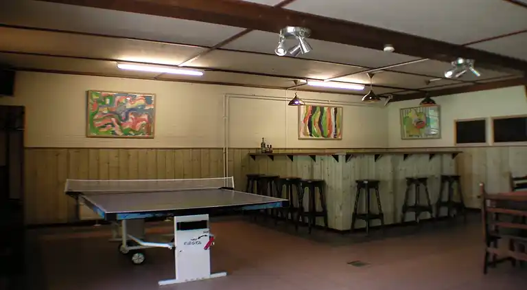 Sommerhus i Luyksgestel