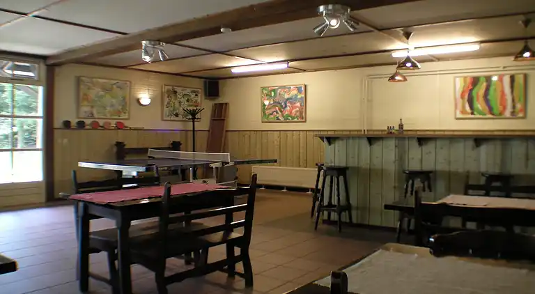 Sommerhus i Luyksgestel