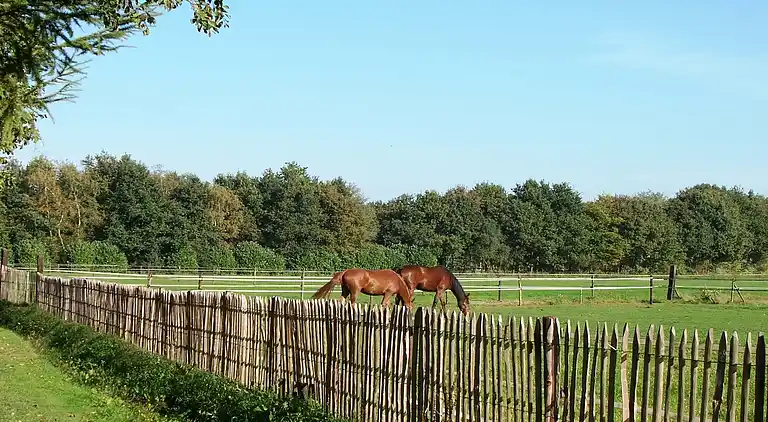 Sommerhus i Luyksgestel