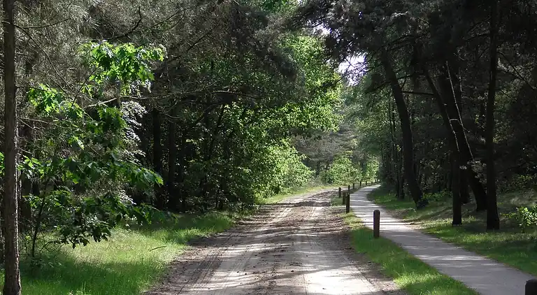Sommerhus i Luyksgestel