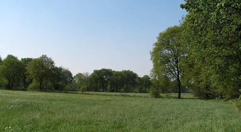 Sommerhus i Luyksgestel