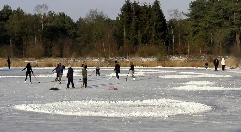 Sommerhus i Luyksgestel