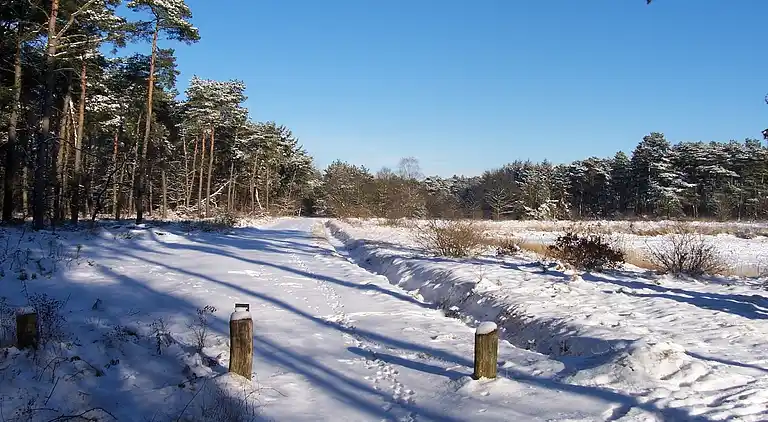 Sommerhus i Luyksgestel