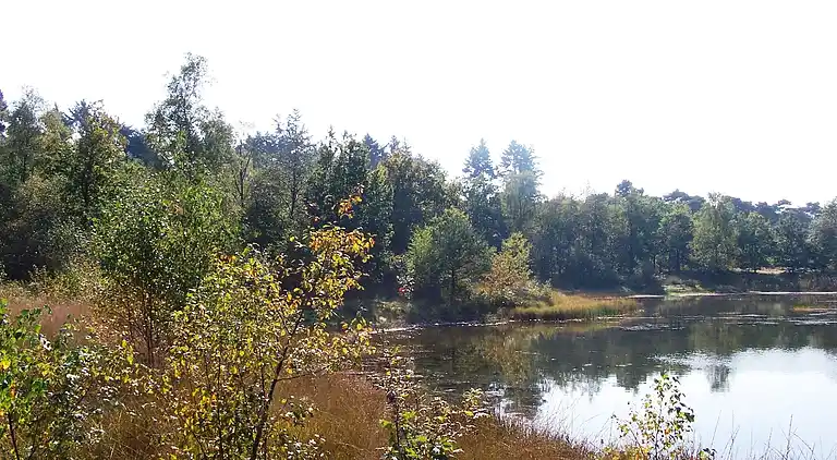 Sommerhus i Luyksgestel
