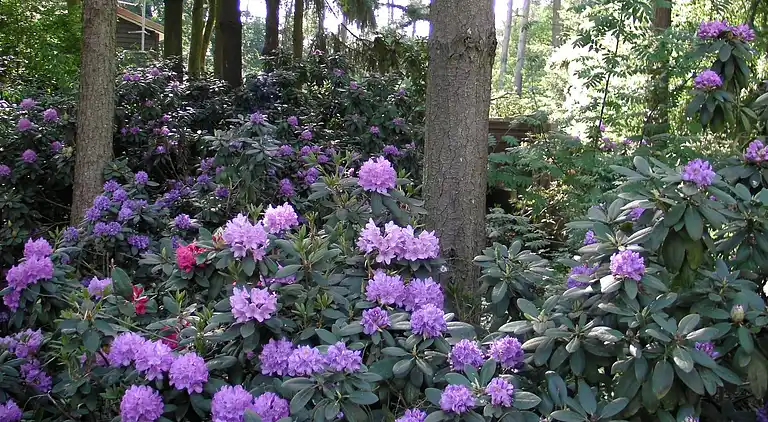 Holiday home in Luyksgestel