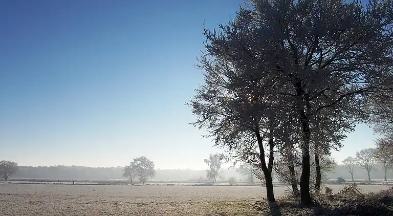 Holiday home in Luyksgestel