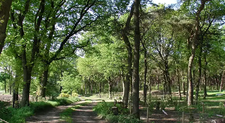 Holiday home in Luyksgestel